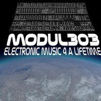 Modul303