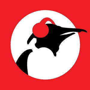 Pinguin Groove