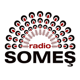 Someș Radio -Bistrițai 96.6 FM