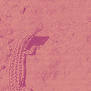 COFFEE PROJECT RADYO