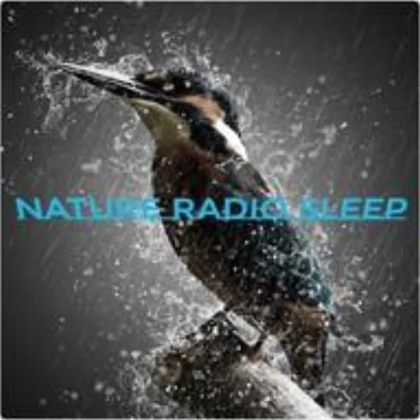 intra Nature Radio - Meditation, Nature Sounds, Relaxation, Spa and Sleep Music