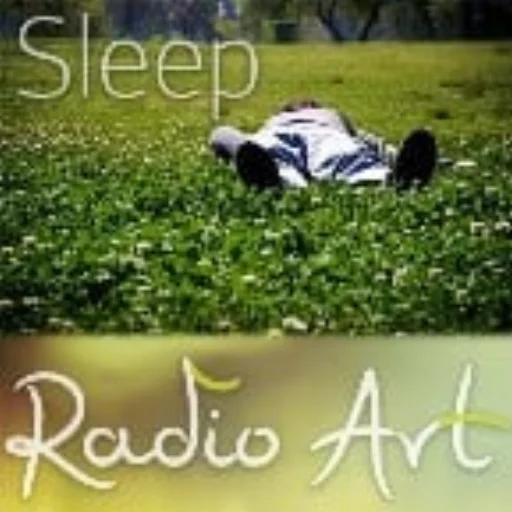 Radio Art - Sleep(2)