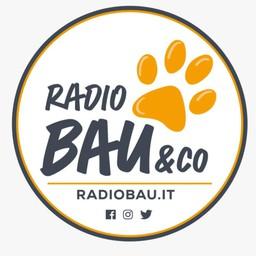 RMC Radio Bau & Co