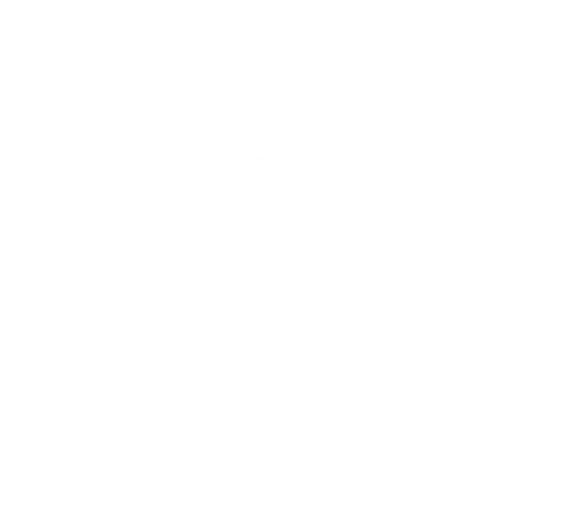 Droogies