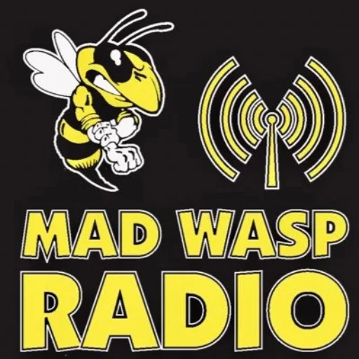 Mad Wasp Radio