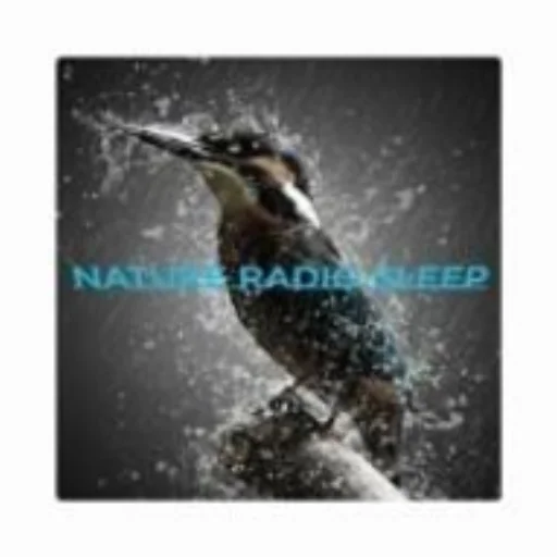 NATURE RADIO SLEEP