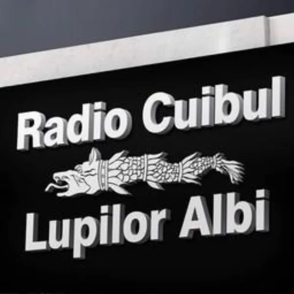 100% Radio Albi