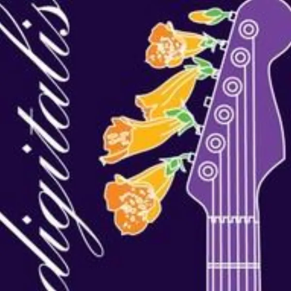 SomaFM Digitalis (128k MP3)