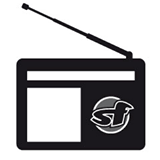 Freies Radio StHörfunk