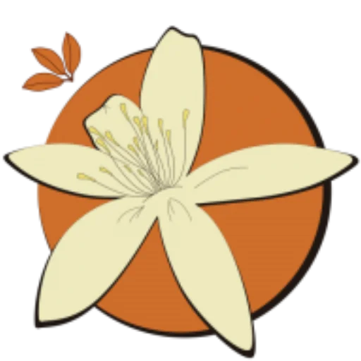 NaranjoFM