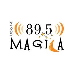 Radio Amiga de Talca
