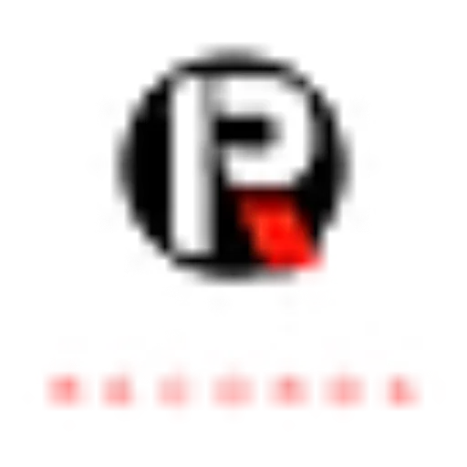 Retro Music by Pelambre Records