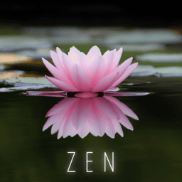Zen Radio Art