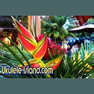 Aloha Joe's Ukulele Island