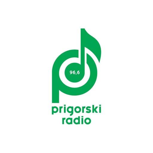 Prigorski radio