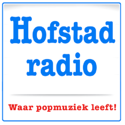 Hofstad radio