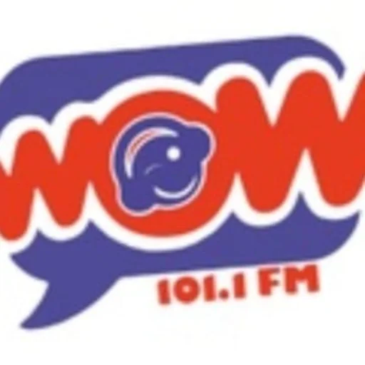 101.1 Wow (Torreón) - 101.1 FM - XHDN-FM - GPS Media - Torreón, Coahuila