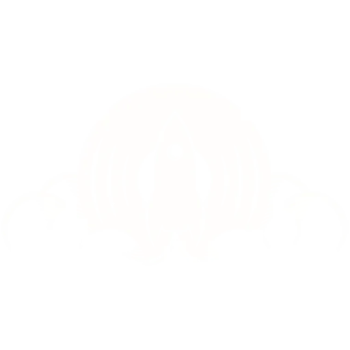 Shoot`em Up Radio Station